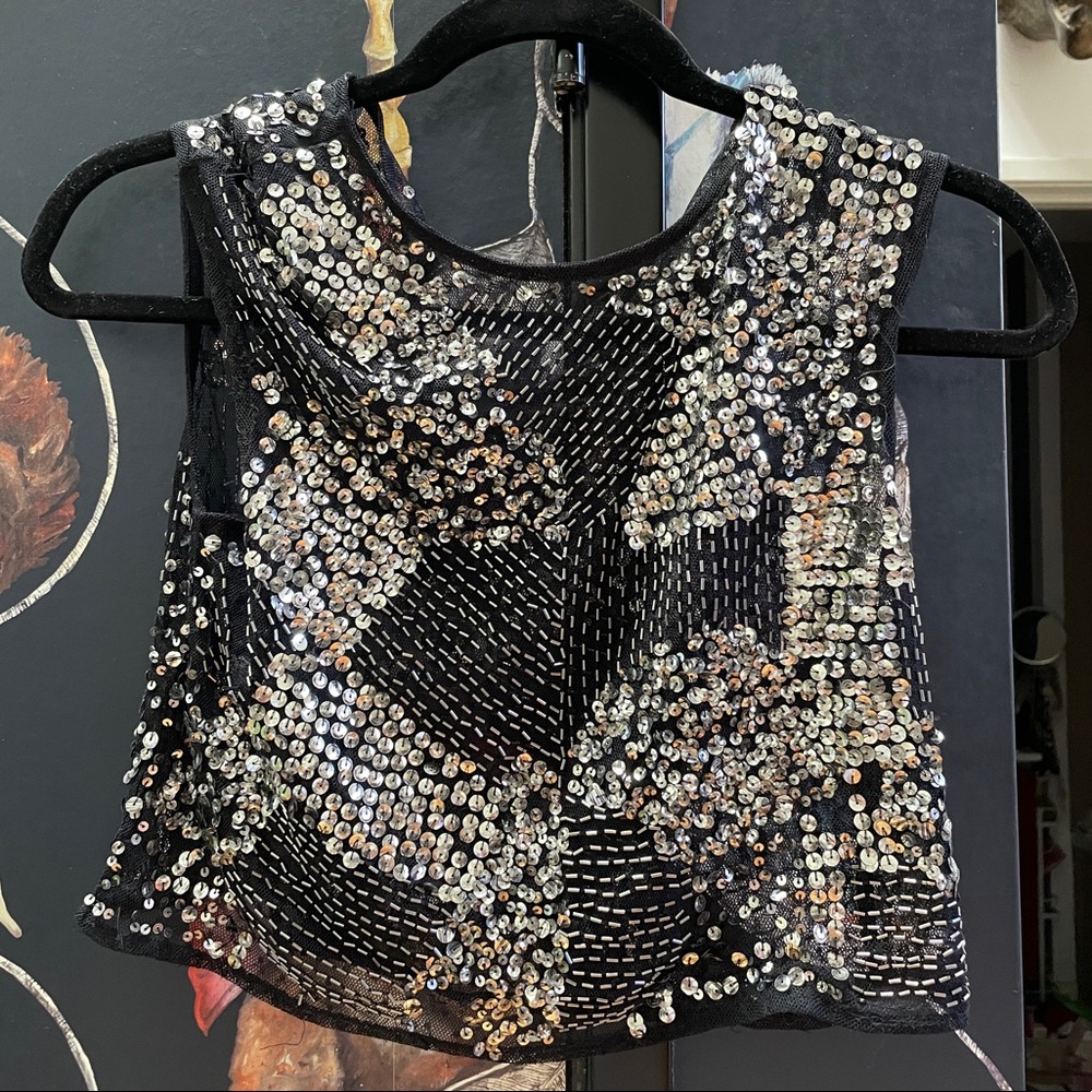 ZARA Sequined + Beaded Sheer Top